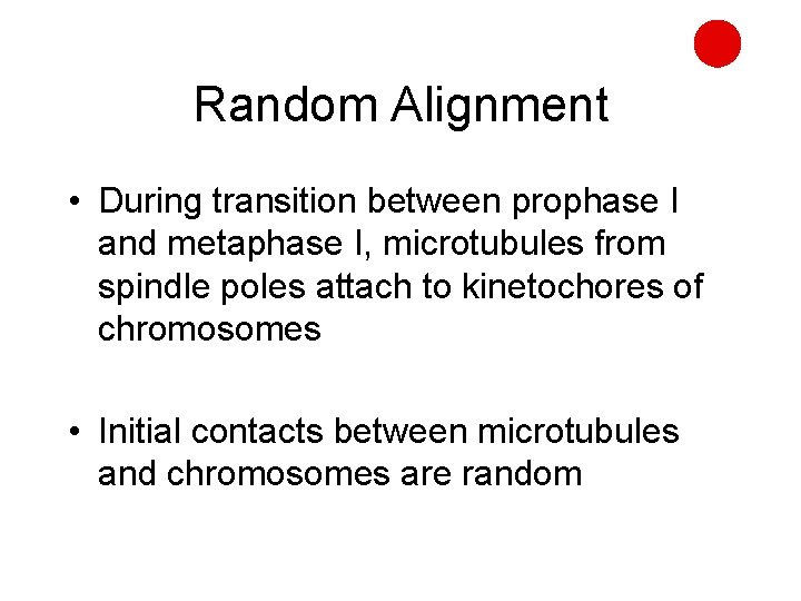 Random Alignment • During transition between prophase I and metaphase I, microtubules from spindle