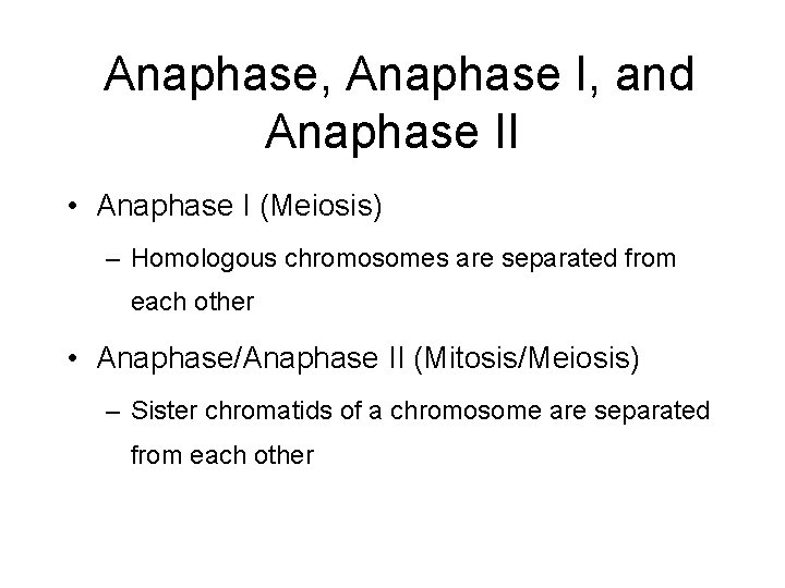Anaphase, Anaphase I, and Anaphase II • Anaphase I (Meiosis) – Homologous chromosomes are