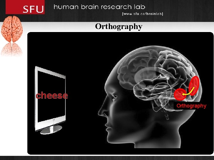 Orthography cheese Orthography 