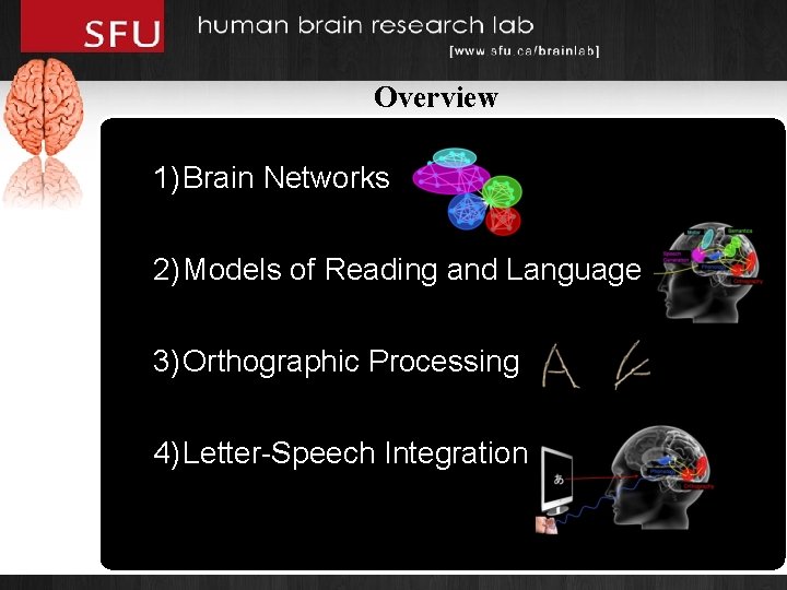 Overview 1) Brain Networks 2) Models of Reading and Language 3) Orthographic Processing 4)