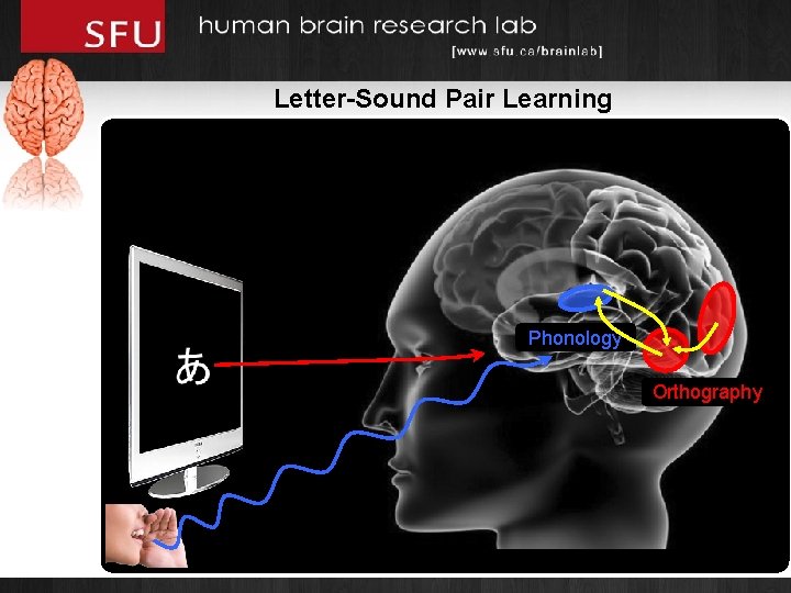 Letter-Sound Pair Learning Phonology Orthography 