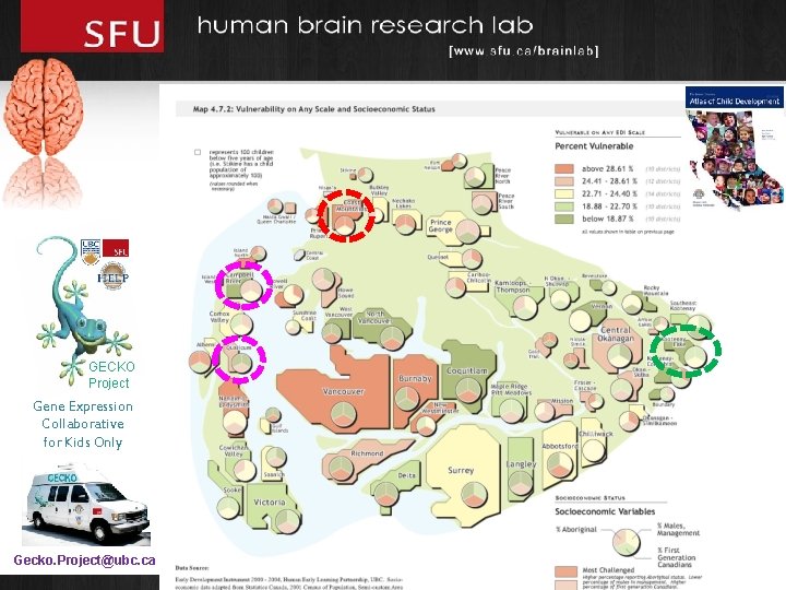 GECKO Project Gene Expression Collaborative for Kids Only Gecko. Project@ubc. ca 