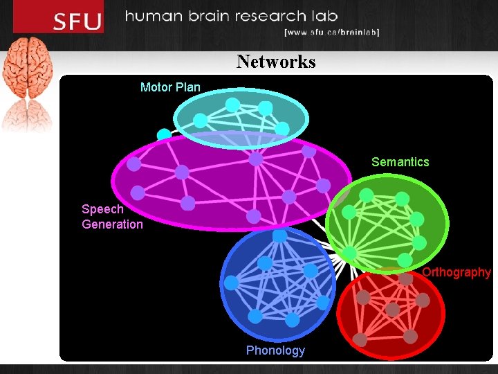 Networks Motor Plan Semantics Speech Generation Orthography Phonology 