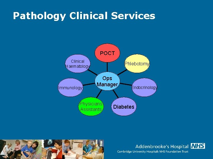 Pathology Clinical Services POCT Clinical Haematology Immunology Phlebotomy Ops Manager Physicians Assistants Endocrinology Diabetes