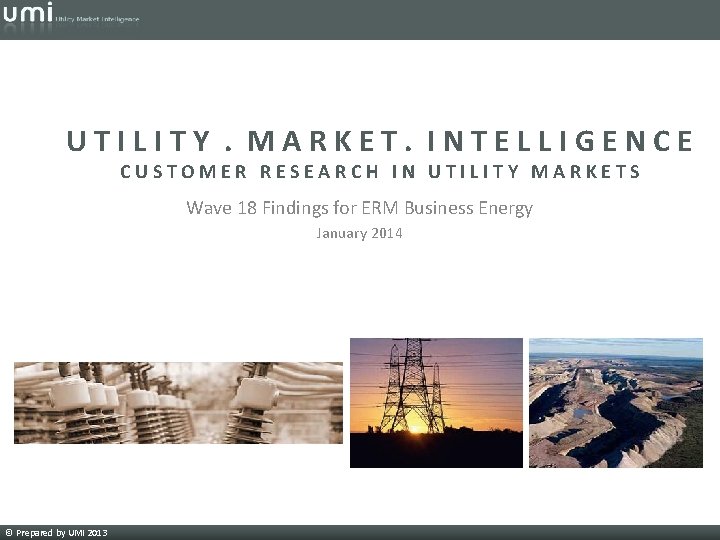UTILITY. MARKET. INTELLIGENCE CUSTOMER RESEARCH IN UTILITY MARKETS Wave 18 Findings for ERM Business