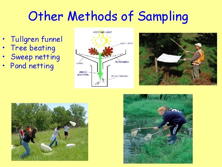 Netting Sampling Method N 4 Biology Unit 3 Life on Earth