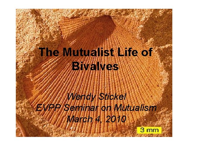 The Mutualist Life of Bivalves Wendy Stickel EVPP Seminar on Mutualism March 4, 2010