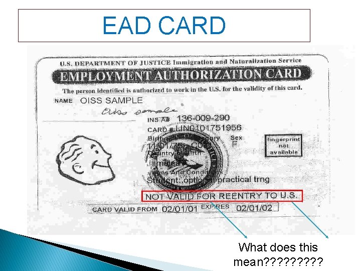 EAD CARD What does this mean? ? ? ? ? 