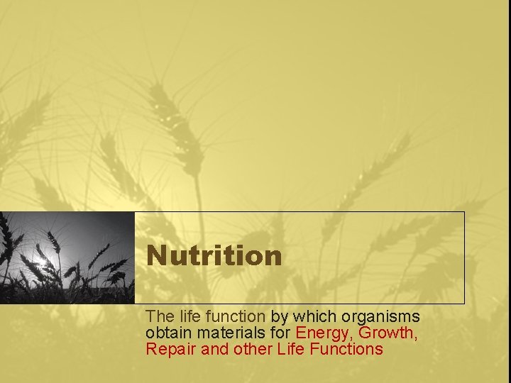Nutrition The life function by which organisms obtain materials for Energy, Growth, Repair and