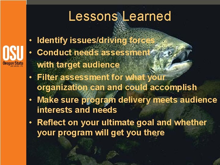 Lessons Learned • Identify issues/driving forces • Conduct needs assessment with target audience •