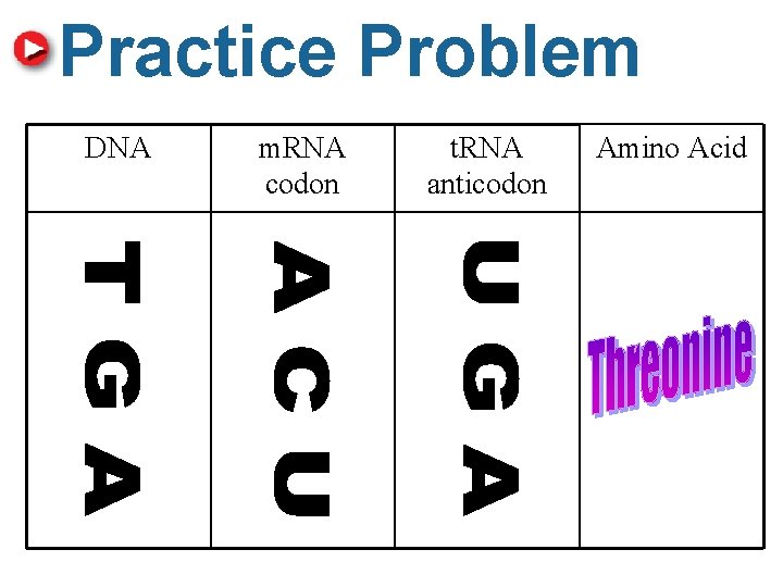 8. 5 Translation Practice Problem DNA m. RNA codon t. RNA anticodon Amino Acid