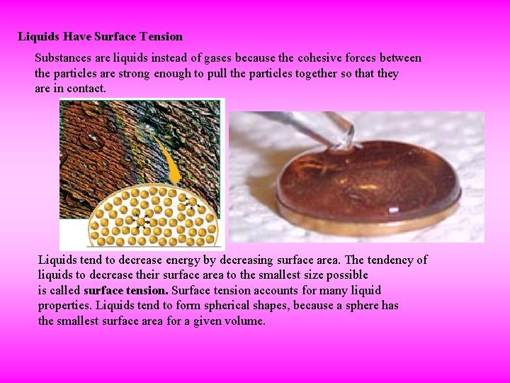 Liquids Have Surface Tension Substances are liquids instead of gases because the cohesive forces