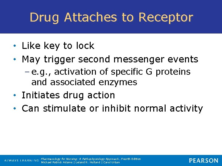 Drug Attaches to Receptor • Like key to lock • May trigger second messenger