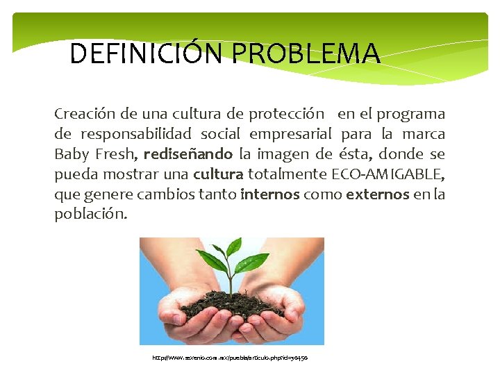 DEFINICIÓN PROBLEMA Creación de una cultura de protección en el programa de responsabilidad social