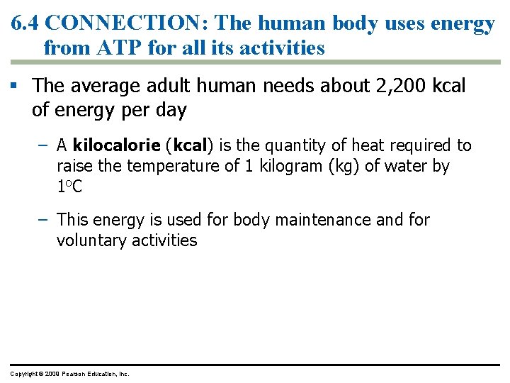 6. 4 CONNECTION: The human body uses energy from ATP for all its activities 6. 4 CONNECTION: The human body uses energy from ATP for all its activities