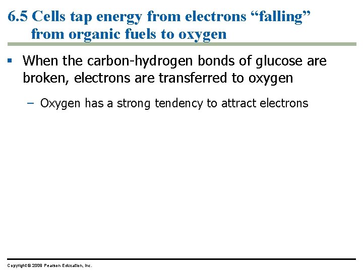 6. 5 Cells tap energy from electrons “falling” from organic fuels to oxygen § 6. 5 Cells tap energy from electrons “falling” from organic fuels to oxygen §