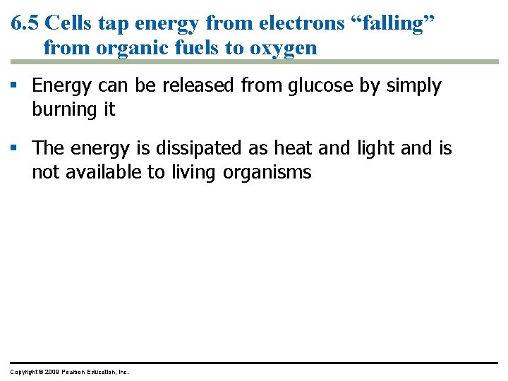 6. 5 Cells tap energy from electrons “falling” from organic fuels to oxygen § 6. 5 Cells tap energy from electrons “falling” from organic fuels to oxygen §