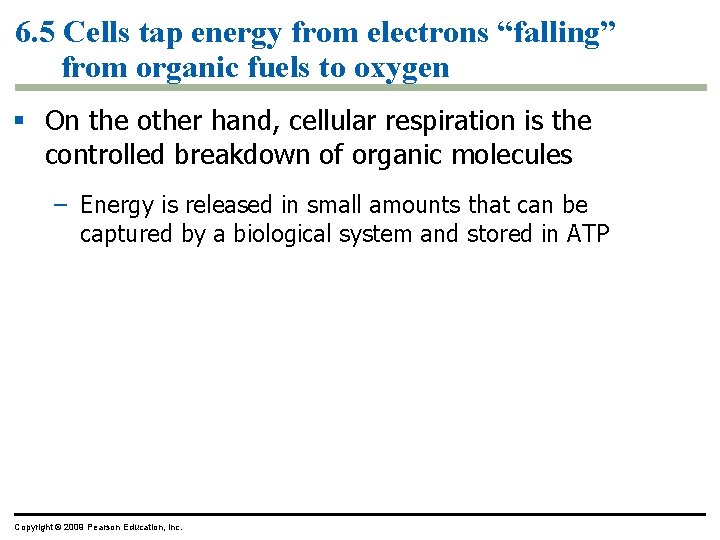 6. 5 Cells tap energy from electrons “falling” from organic fuels to oxygen § 6. 5 Cells tap energy from electrons “falling” from organic fuels to oxygen §