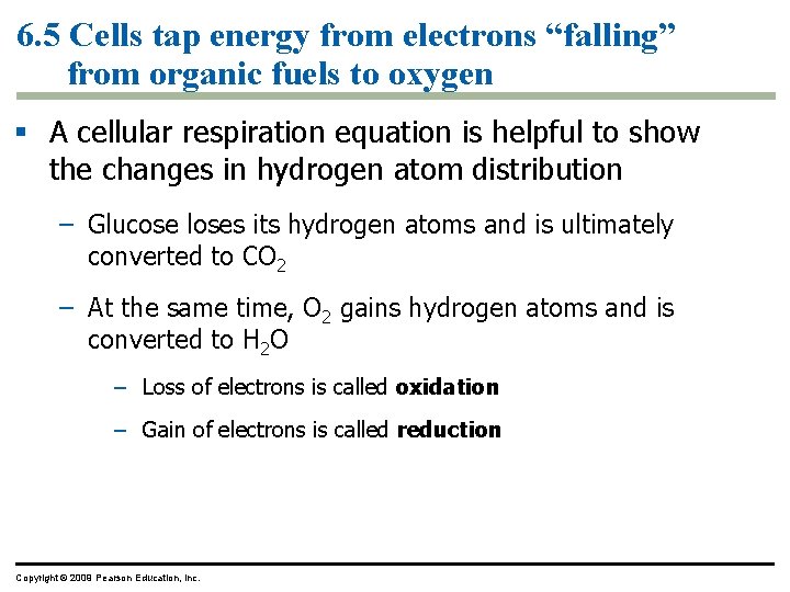 6. 5 Cells tap energy from electrons “falling” from organic fuels to oxygen § 6. 5 Cells tap energy from electrons “falling” from organic fuels to oxygen §