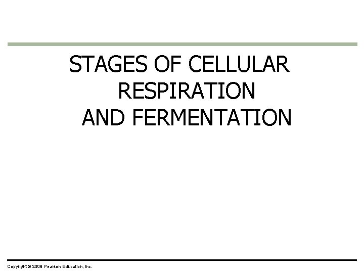 STAGES OF CELLULAR RESPIRATION AND FERMENTATION Copyright © 2009 Pearson Education, Inc. STAGES OF CELLULAR RESPIRATION AND FERMENTATION Copyright © 2009 Pearson Education, Inc.