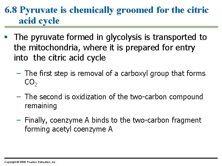 6. 8 Pyruvate is chemically groomed for the citric acid cycle § The pyruvate 6. 8 Pyruvate is chemically groomed for the citric acid cycle § The pyruvate