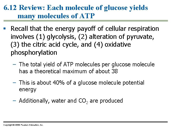 6. 12 Review: Each molecule of glucose yields many molecules of ATP § Recall 6. 12 Review: Each molecule of glucose yields many molecules of ATP § Recall