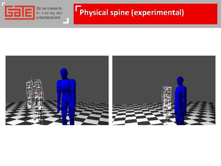 Physical spine (experimental) Physical spine (experimental)