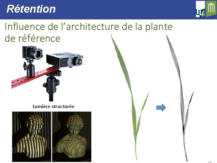 Rétention Influence de l’architecture de la plante de référence Lumière structurée 