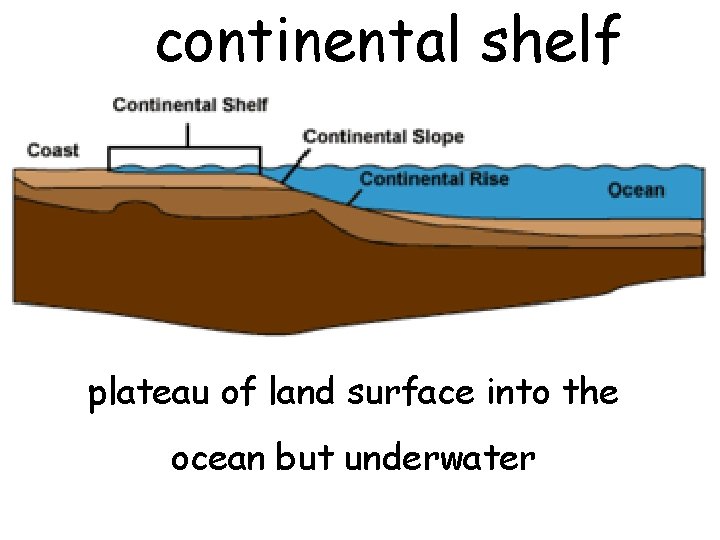 continental shelf plateau of land surface into the ocean but underwater 