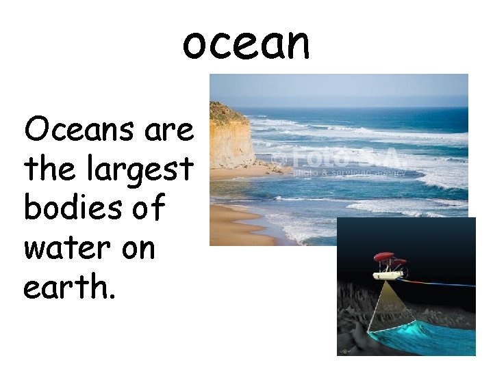 ocean Oceans are the largest bodies of water on earth. 