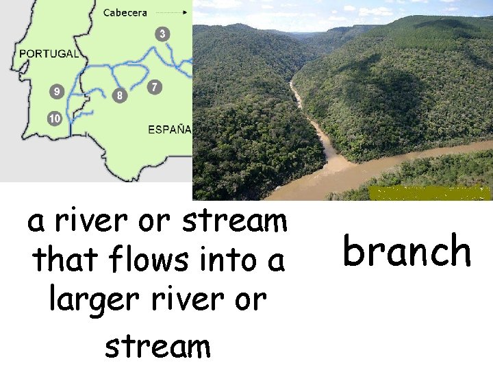 a river or stream that flows into a larger river or stream branch 