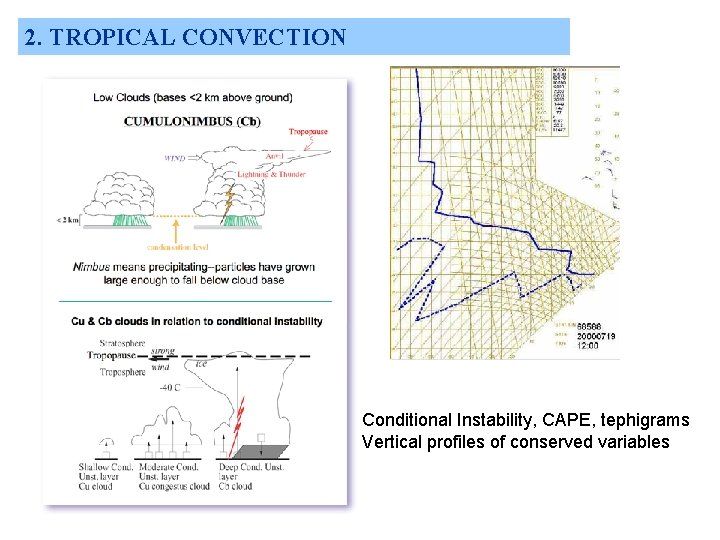 2. TROPICAL CONVECTION Conditional Instability, CAPE, tephigrams Vertical profiles of conserved variables 