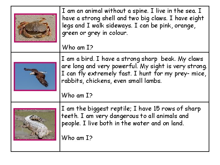 I am an animal without a spine. I live in the sea. I have