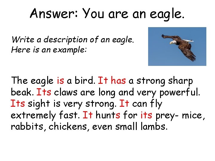 Answer: You are an eagle. Write a description of an eagle. Here is an