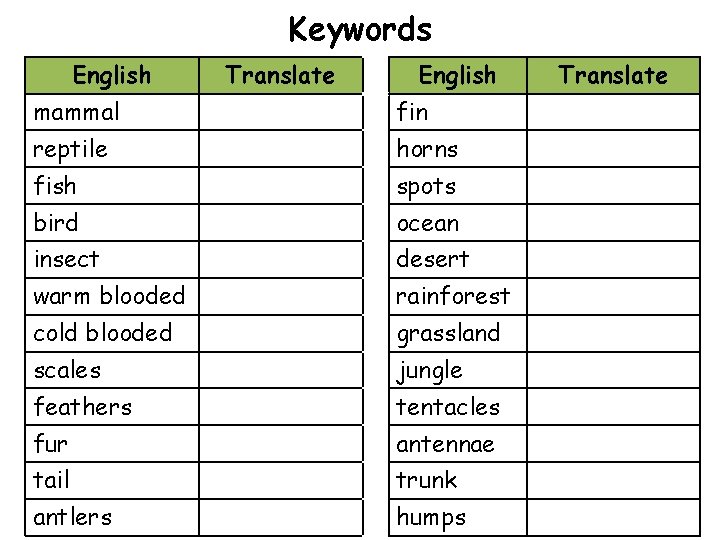 Keywords English Translate English mammal fin reptile horns fish spots bird ocean insect desert