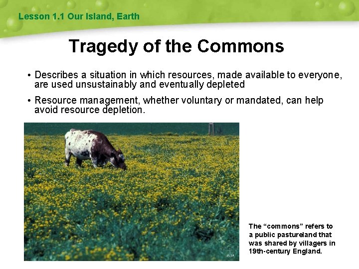 Lesson 1. 1 Our Island, Earth Tragedy of the Commons • Describes a situation