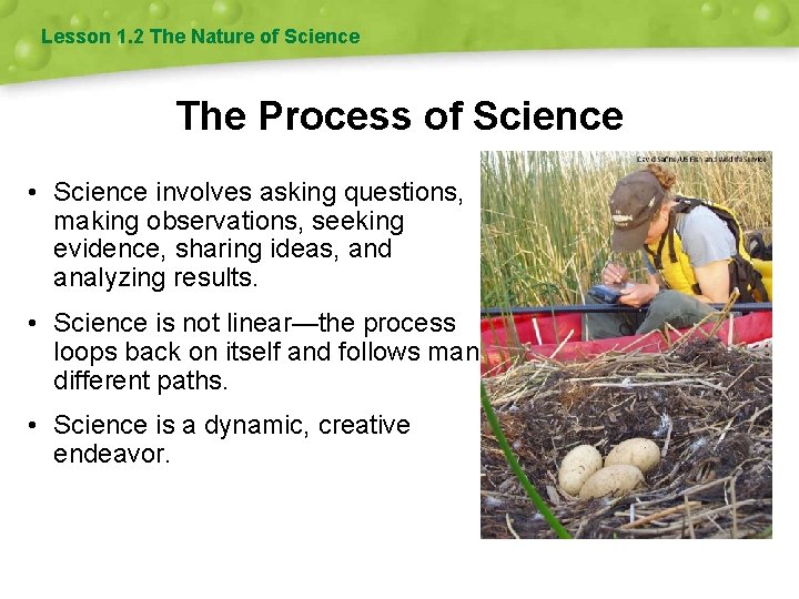 Lesson 1. 2 The Nature of Science The Process of Science • Science involves