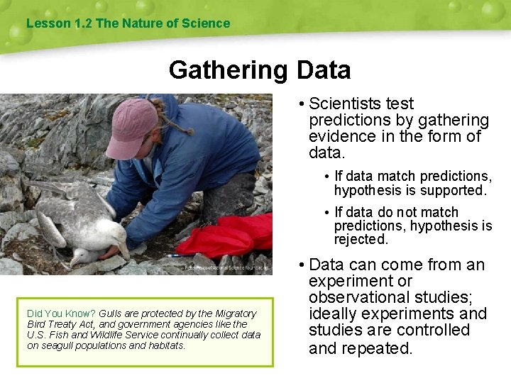 Lesson 1. 2 The Nature of Science Gathering Data • Scientists test predictions by