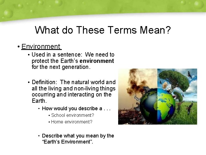 What do These Terms Mean? • Environment • Used in a sentence: We need