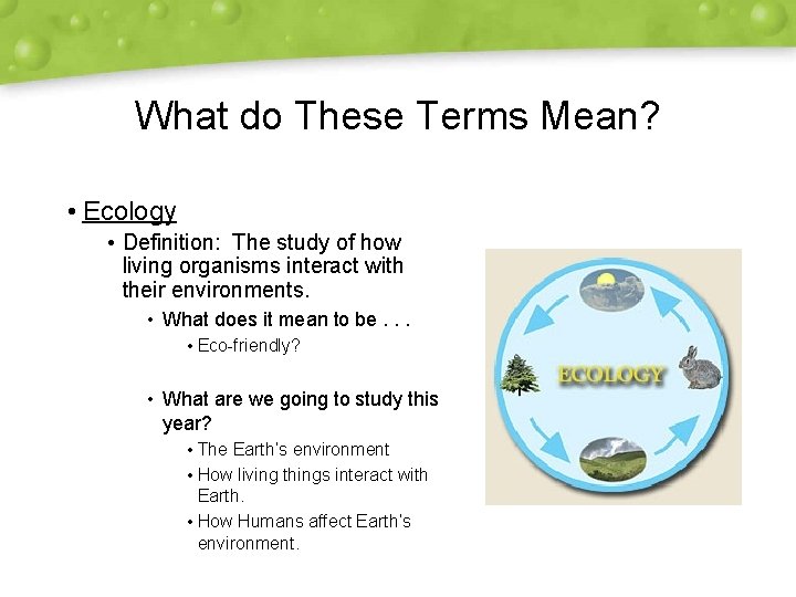 What do These Terms Mean? • Ecology • Definition: The study of how living