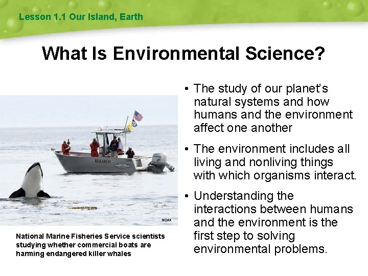 Lesson 1. 1 Our Island, Earth What Is Environmental Science? • The study of
