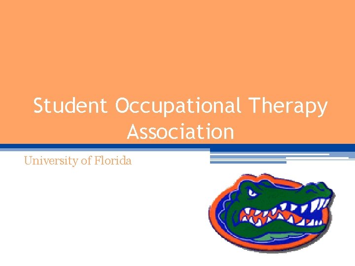 Student Occupational Therapy Association University of Florida Student Occupational Therapy Association University of Florida