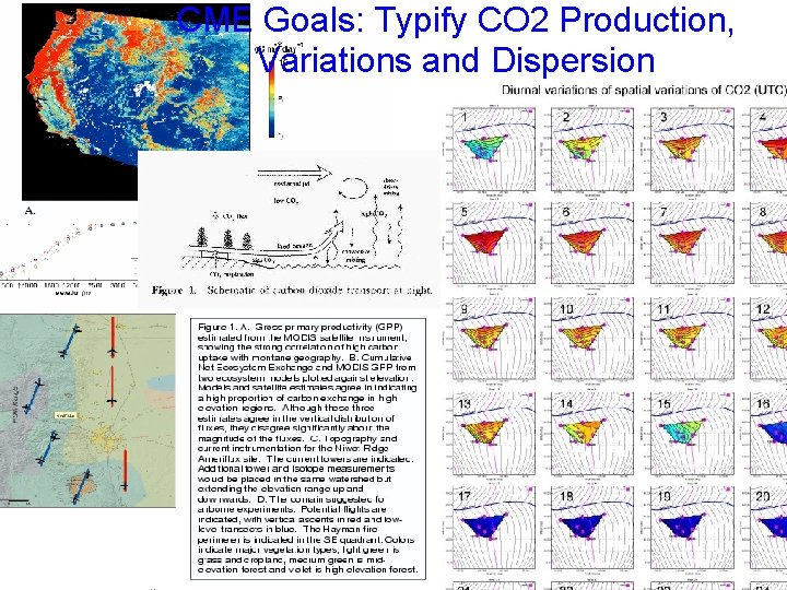 CME Goals: Typify CO 2 Production, Variations and Dispersion CME Goals: Typify CO 2 Production, Variations and Dispersion