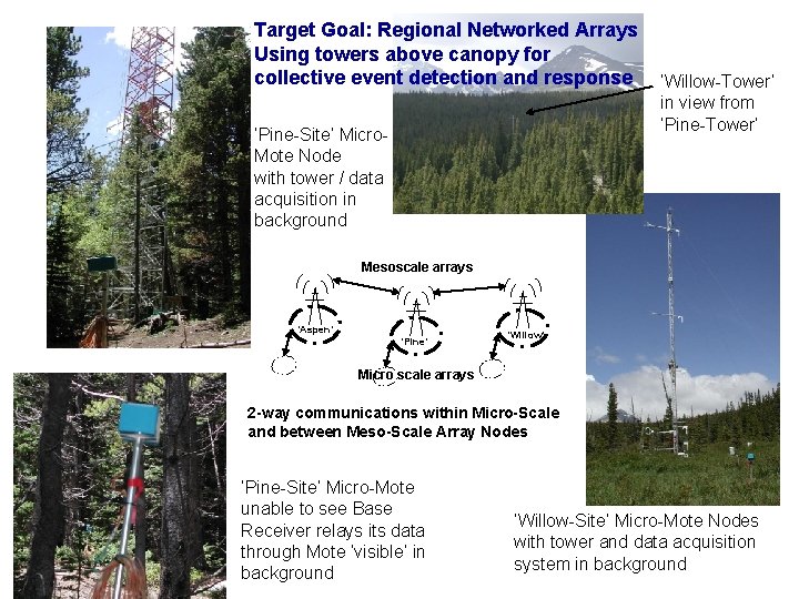Target Goal: Regional Networked Arrays Using towers above canopy for collective event detection and Target Goal: Regional Networked Arrays Using towers above canopy for collective event detection and