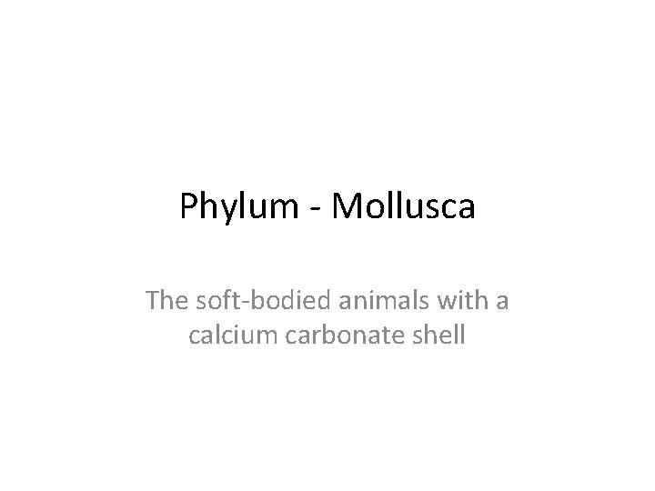 Phylum - Mollusca The soft-bodied animals with a calcium carbonate shell 