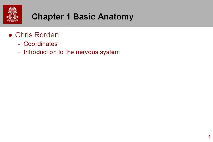 Chapter 1 Basic Anatomy l Chris Rorden – – Coordinates Introduction to the nervous