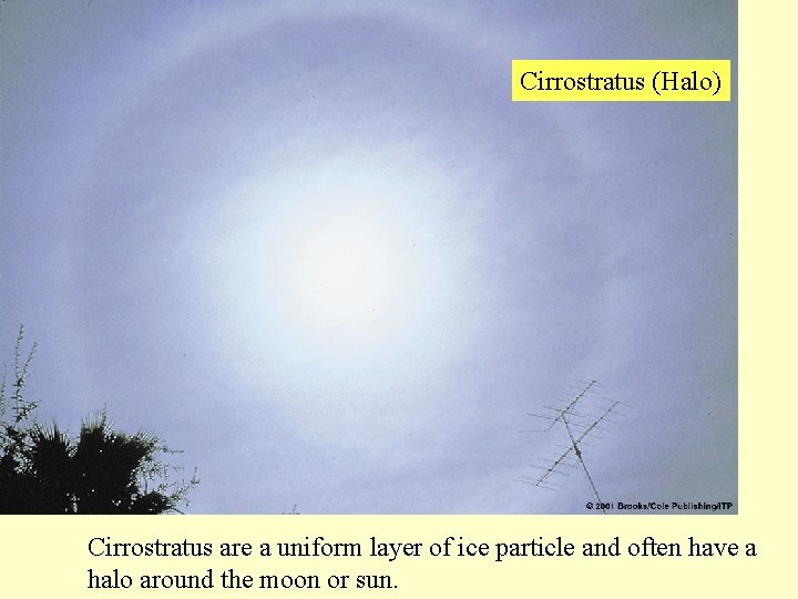 Cirrostratus (Halo) Cirrostratus are a uniform layer of ice particle and often have a