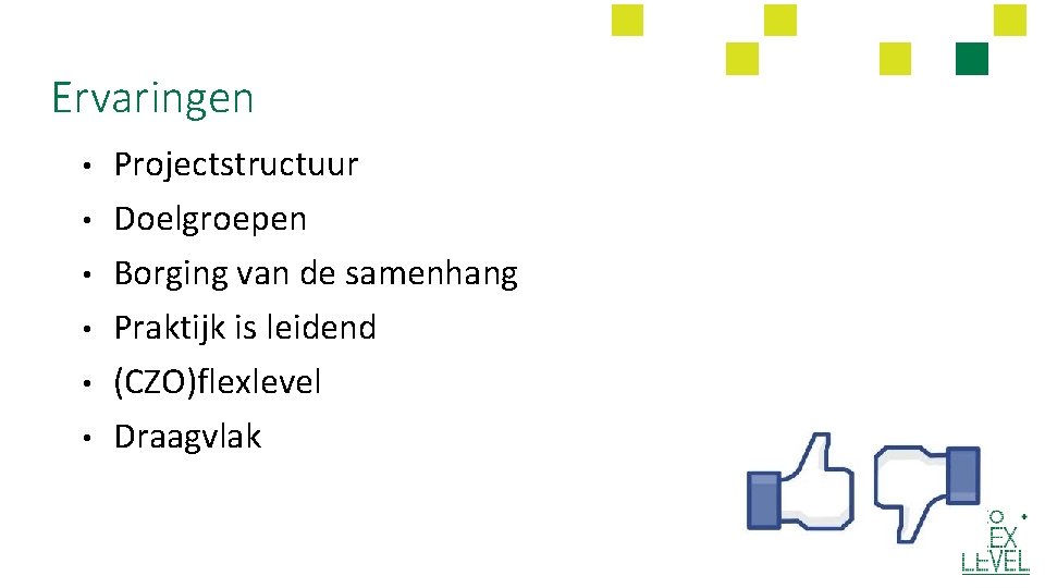 Ervaringen • • • Projectstructuur Doelgroepen Borging van de samenhang Praktijk is leidend (CZO)flexlevel