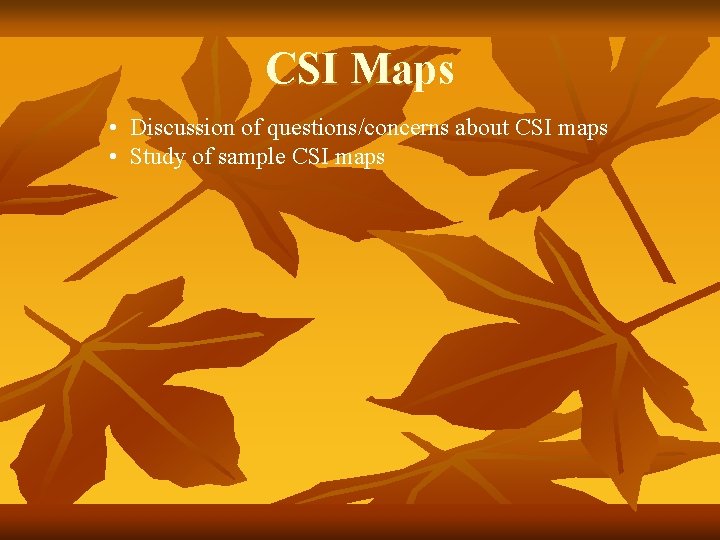 CSI Maps • Discussion of questions/concerns about CSI maps • Study of sample CSI