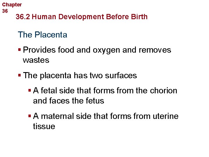Chapter 36 Human Reproduction and Development 36. 2 Human Development Before Birth The Placenta